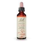 Bach Flower Remedies Mimulus for Emotional Balance