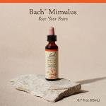Bach Flower Remedies Mimulus for Emotional Balance