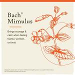 Bach Flower Remedies Mimulus for Emotional Balance