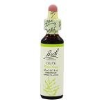 Bach Olive Flower Remedy for Energy and Balance