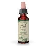 Bach Walnut Flower Remedy for Emotional Balance 10mL