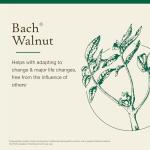 Bach Walnut Flower Remedy for Emotional Balance 10mL