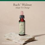 Bach Walnut Flower Remedy for Emotional Balance 10mL