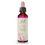 Bach Flower Remedy Larch for Confidence - 20mL