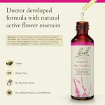 Bach Flower Remedy Larch for Confidence - 20mL