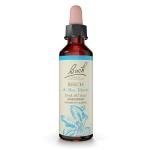 Beech Bach Flower Remedy for Emotional Balance 20mL