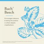 Beech Bach Flower Remedy for Emotional Balance 20mL