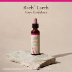 Bach Flower Remedy Larch for Confidence - 20mL