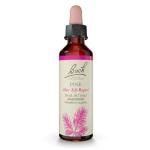 Bach Pine Flower Remedy for Emotional Balance 20mL