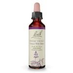 Bach Water Violet Flower Remedy for Emotional Balance