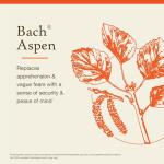Bach Aspen Flower Essence for Emotional Balance 20mL