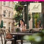 Bach Elm Flower Remedy for Emotional Balance