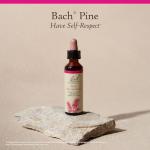 Bach Pine Flower Remedy for Emotional Balance 20mL