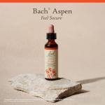 Bach Aspen Flower Essence for Emotional Balance 20mL