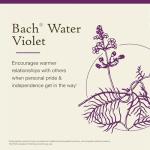 Bach Water Violet Flower Remedy for Emotional Balance