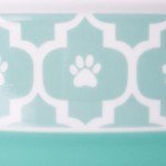 Bone Dry Lattice Collection Pet Bowl & Canister, Large Set, 7.5x2.4", Aqua, 2 Count