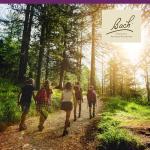 Bach Water Violet Flower Remedy for Emotional Balance