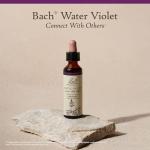 Bach Water Violet Flower Remedy for Emotional Balance