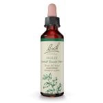 Bach Holly Flower Remedy for Emotional Balance 20mL