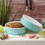Bone Dry Lattice Collection Pet Bowl & Canister, Large Set, 7.5x2.4", Aqua, 2 Count