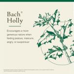 Bach Holly Flower Remedy for Emotional Balance 20mL