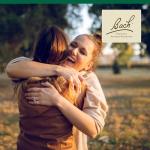Bach Holly Flower Remedy for Emotional Balance 20mL