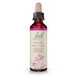 Bach Flower Remedies Willow Essence for Emotional Balance