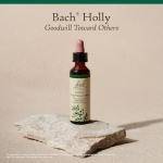 Bach Holly Flower Remedy for Emotional Balance 20mL