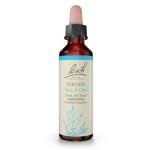 Bach Vervain Flower Remedy - 0.7 fl oz