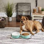 Bone Dry Lattice Collection Pet Bowl & Canister, Large Set, 7.5x2.4", Aqua, 2 Count