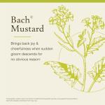 Bach Mustard Flower Essence for Emotional Balance 20mL