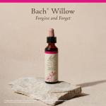 Bach Flower Remedies Willow Essence for Emotional Balance