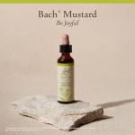 Bach Mustard Flower Essence for Emotional Balance 20mL