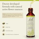 Bach White Chestnut Flower Essence for Calm