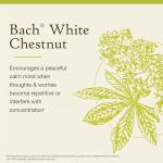 Bach White Chestnut Flower Essence for Calm