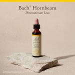 Bach Hornbeam Flower Essence for Emotional Balance
