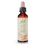 Bach Cherry Plum Flower Remedy for Emotional Balance