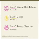 Bach Flower Remedies Hope and Joy Kit