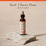 Bach Cherry Plum Flower Remedy for Emotional Balance