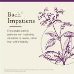 Bach Flower Remedy Impatiens for Emotional Balance