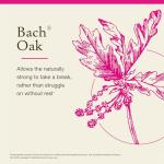 Bach Flower Remedies Oak - Boost Endurance Naturally