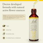 Bach Flower Remedies Gentian for Emotional Balance