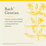 Bach Flower Remedies Gentian for Emotional Balance
