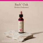 Bach Flower Remedies Oak - Boost Endurance Naturally