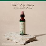 Bach Agrimony Flower Remedy for Emotional Balance