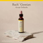Bach Flower Remedies Gentian for Emotional Balance