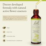 Bach Flower Remedy Wild Rose for Emotional Balance