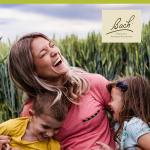 Bach Flower Remedy Wild Rose for Emotional Balance