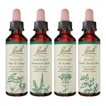 Bach Flower Remedies 4-Pack: Stand Your Ground