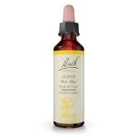 Bach Gorse Flower Remedy for Emotional Balance 20mL